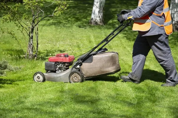 Lawn Maintenance Services Lawn Maintenance Services