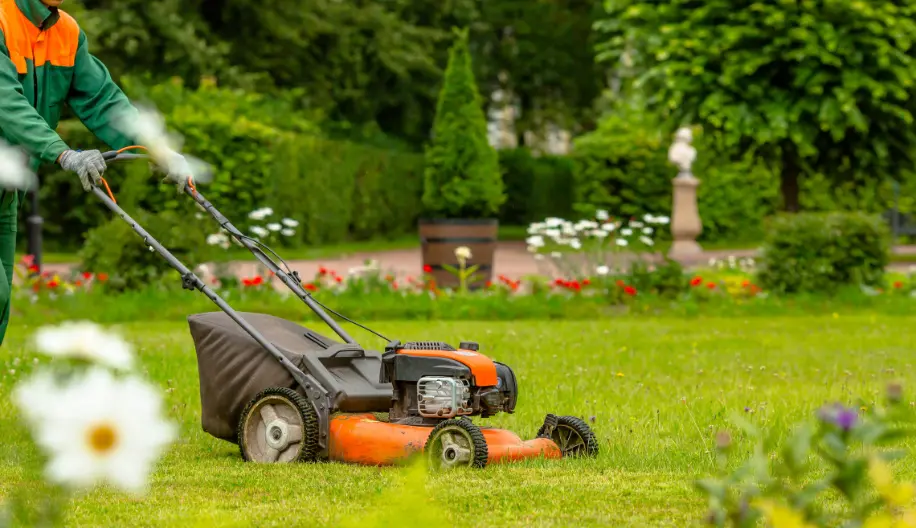 Affordable Lawn Maintenance Services Arcola TX Affordable Lawn Maintenance Services Arcola TX