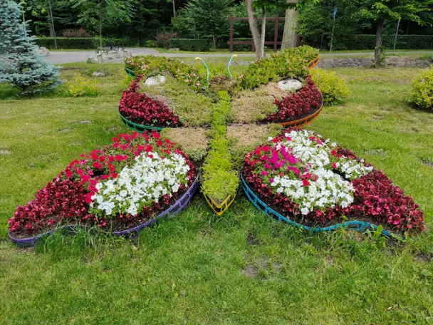 Experienced Landscape Installation Arcola TX Experienced Landscape Installation Arcola TX