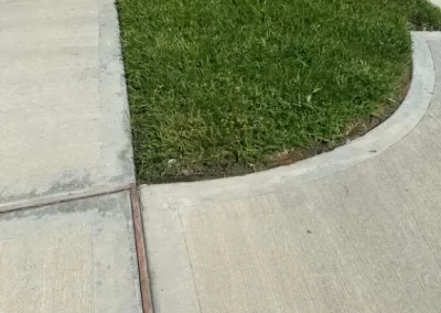 Reputable Landscape Company